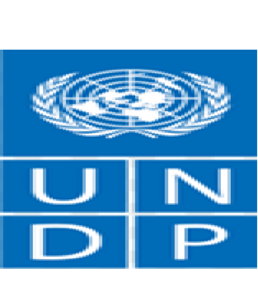 برنامج الأمم المتحدة الإنمائي