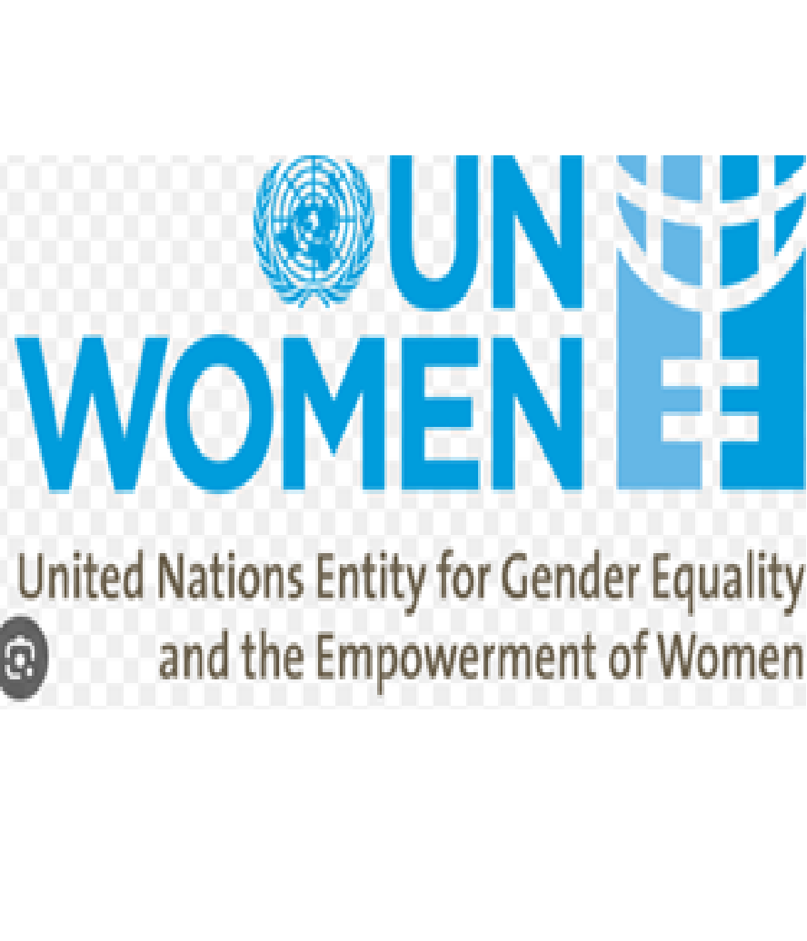 هيئة الأمم المتحدة للمرأة